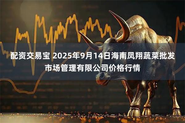 配资交易宝 2025年9月14日海南凤翔蔬菜批发市场管理有限公司价格行情