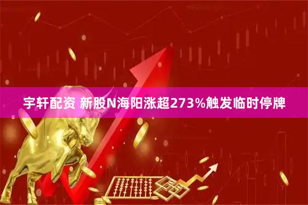 宇轩配资 新股N海阳涨超273%触发临时停牌