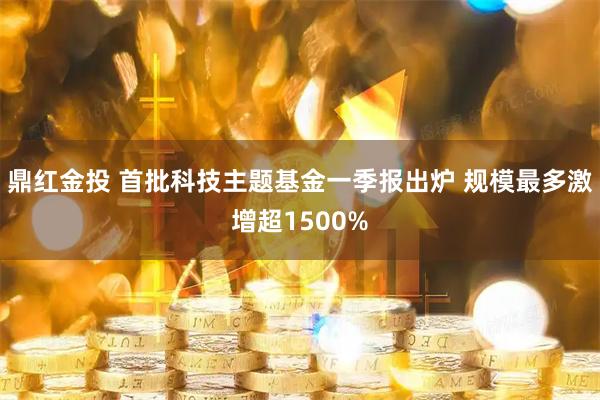 鼎红金投 首批科技主题基金一季报出炉 规模最多激增超1500%