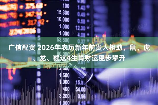广信配资 2026年农历新年前贵人相助，鼠、虎、龙、猴这4生肖财运稳步攀升